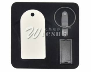 8G USB Stick Keyring (Arch)
