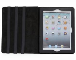 Mini iPad Case